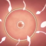 Thumbnail of post image 076